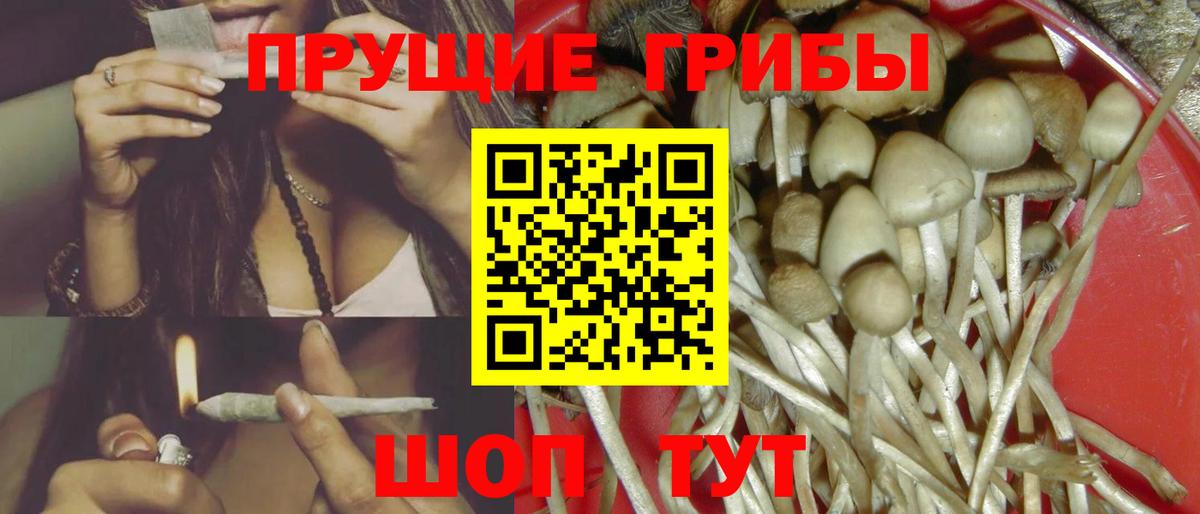 Псилоцибиновые грибы мицелий  Вход с VPN  Отрадный 
